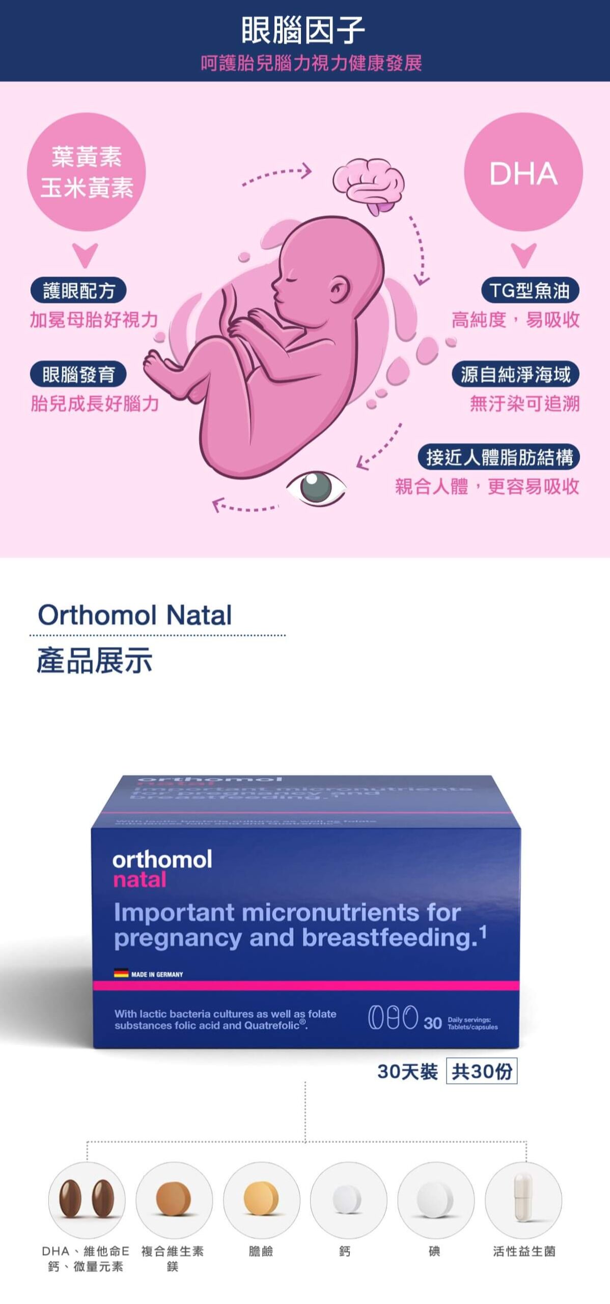 Orthomol 德國歐適寶，多位韓國藝人推薦愛用，保健品的愛馬仕，韓國熱銷回購第一，小紅書滿滿種草推薦，孕婦綜合維他命，含DHA、葉酸等28種營養素，補充孕期所需養分，有助胎兒神經發育。專業德國直送官網，商品100%德國原裝，直送到家。立即Go！ 