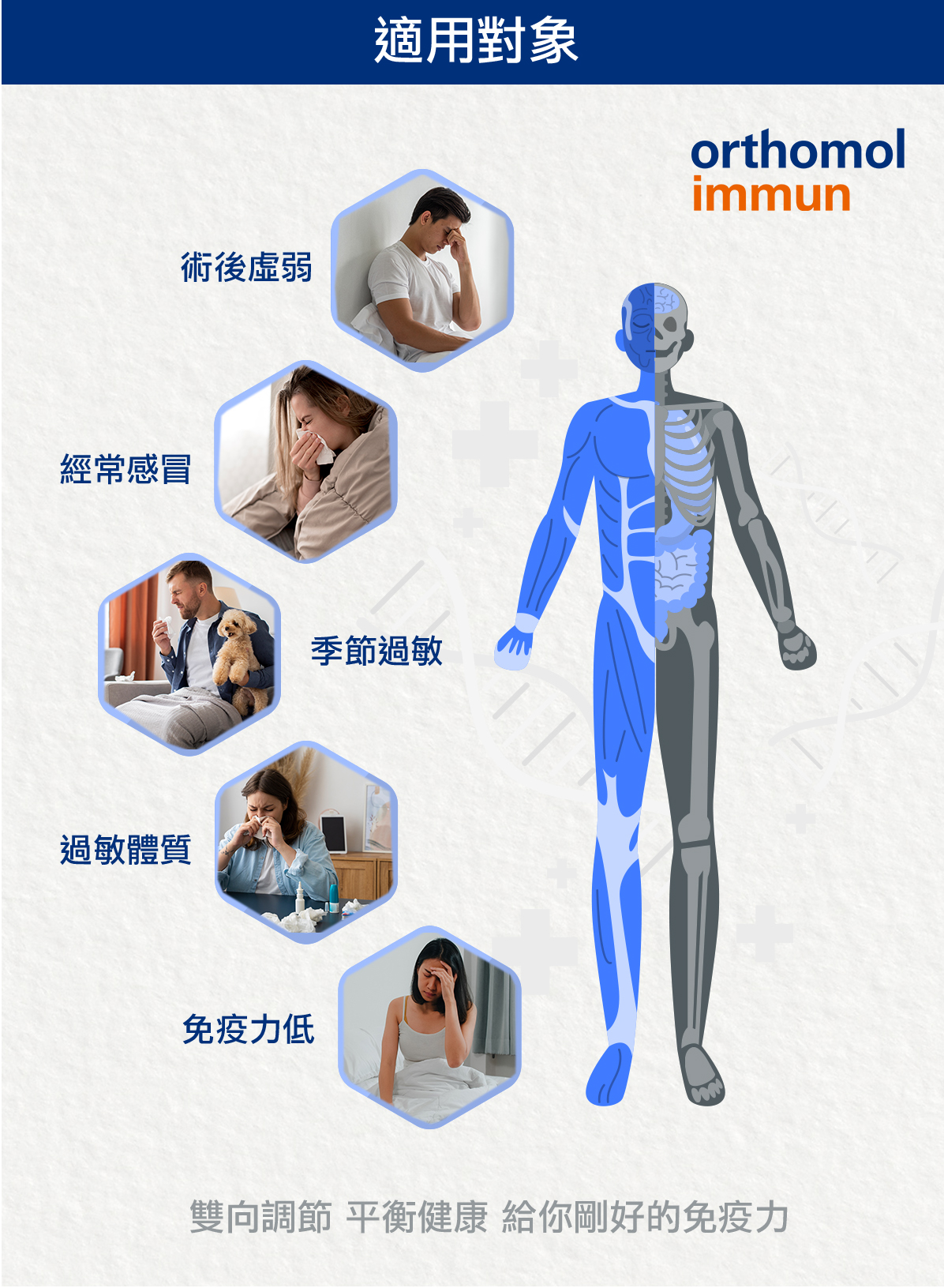 Orthomol 德國歐適寶，多位韓國藝人推薦愛用，保健品的愛馬仕，韓國熱銷回購第一，小紅書滿滿種草推薦，男性女性孕婦綜合維他命、葉黃素熱銷德國保健品牌，好康組合更划算！專業德國直送官網，商品100%德國原裝，直送到家。立即Go！
